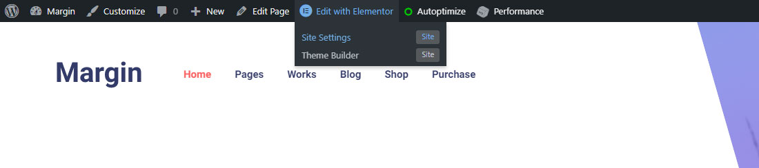 elementor site settings